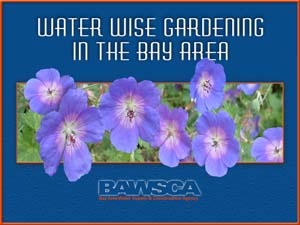 Water Wise Gardening in the Bay Area