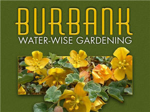 Beautiful Water Wise Landscapes in Burbank