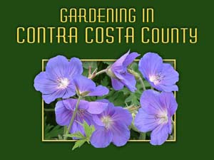 Water Wise Gardening in Contra Costa County