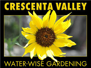 Water Wise Gardening in Crescenta Valley