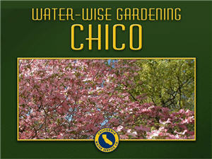 Chico Water Wise Gardening