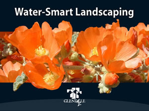 Water-Smart Landscaping in Glendale AZ