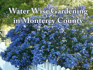 Water Wise Gardening in Monterey County