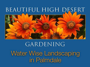 Water Wise Landscaping in Palmdale