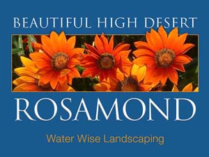 Beautiful High Desert Rosamond | Water Wise Landscaping