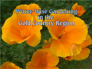 Water Wise Gardening in the Gold Country Region