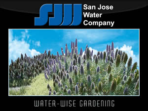 Water Wise Gardening in San Jose