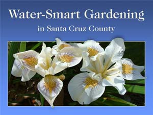 Water-Smart Gardening in Santa Cruz County