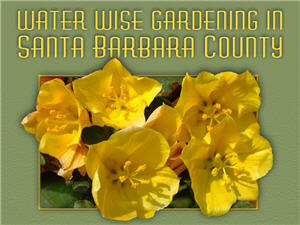 Water Wise Gardening in Santa Barbara County