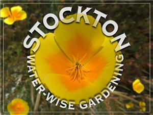 Stockton Water Wise Gardening