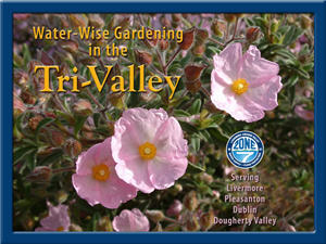 Water Wise Gardening in the Tri-Valley